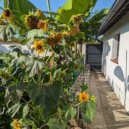 Independant, Calme, Avec Parking Prive Et Grand Jardin, Proche De Toulouse דירה Villeneuve-Tolosane