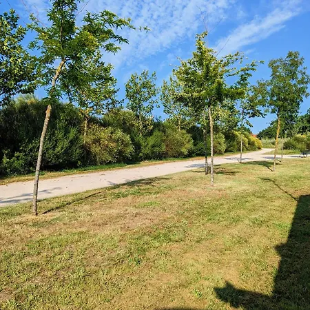 Independant Et Climatise, Au Calme, Avec Parking Prive Et Grand Jardin, Proche De Toulouse Apartment Villeneuve-Tolosane