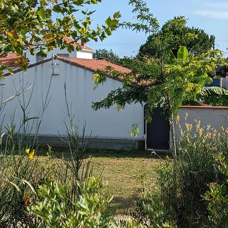 شقة Studio Independant Et Climatise, Au Calme, Avec Parking Prive Et Grand Jardin, Proche De Toulouse