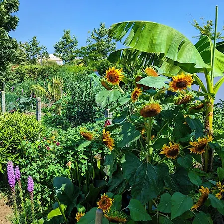 Appartement Indépendant, Calme, Avec Parking Privé Et Grand Jardin, Proche De Toulouse