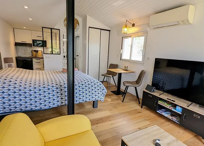 Studio Independant Et Climatise, Au Calme, Avec Parking Prive Et Grand Jardin, Proche De Toulouse شقة *