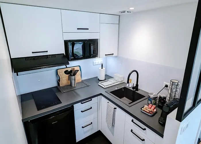 Studio Independant Et Climatise, Au Calme, Avec Parking Prive Et Grand Jardin, Proche De Toulouse * Villeneuve-Tolosane