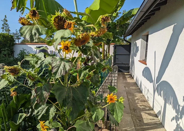 Independant, Calme, Avec Parking Prive Et Grand Jardin, Proche De Toulouse Apartmán Villeneuve-Tolosane