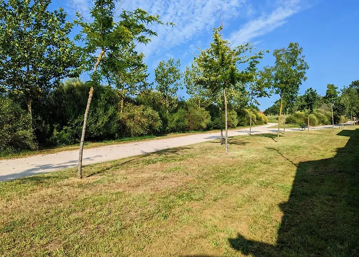 Studio Independant Et Climatise, Au Calme, Avec Parking Prive Et Grand Jardin, Proche De Toulouse شقة Villeneuve-Tolosane