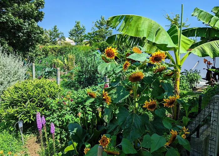 شقة Studio Independant Et Climatise, Au Calme, Avec Parking Prive Et Grand Jardin, Proche De Toulouse